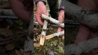 Survival Skills How to Start a Fire with Wet Wood survival camping ca lifehacks [upl. by Fortuna838]