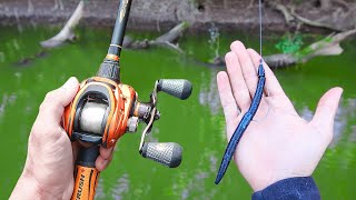 Catch 15x MORE Bass  TRY THIS Bass Fishing Tips [upl. by Sivla]