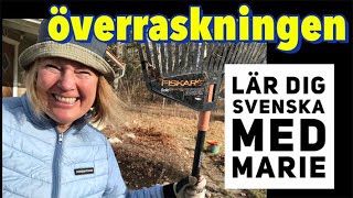 Överraskningen  Lär dig svenska med Marie [upl. by Drofniw972]