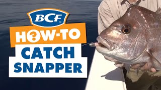 How to catch Snapper  Fishing  BCF [upl. by Paulsen]