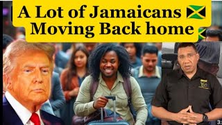 MUST WATCHWHY JAMAICANS🇯🇲 IN AMERICA ARE MOVING BACK HOME IN LARGE NUMBERS [upl. by Gusti234]