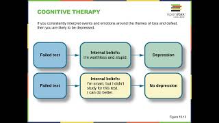 Types of Psychological Treatment Psychoanalysis Exposure Therapy CognitiveBehavioral Therapy [upl. by Willis]