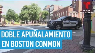 Investigan doble apuñalamiento en Boston Common tras presunto [upl. by Henrie752]