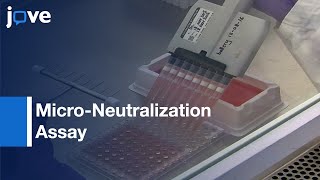 MicroNeutralization Assay Optimization  Protocol Preview [upl. by Ecinad]