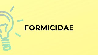 What is the meaning of the word FORMICIDAE [upl. by Keram786]