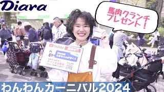 Diaraイベント潜入‼～わんわんカーニバル2024・インターペット2024～たまちゃんが行く！ [upl. by Milah176]