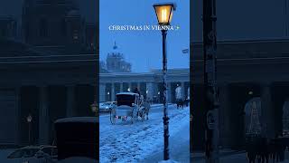 MAGICAL CHRISTMAS IN VIENNA christmas merrychristmas [upl. by Zima]