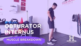 Learn How the Obturator Internus Muscle Provides Stabilization in the Hip Area [upl. by Laamaj]