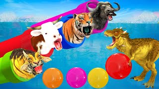 Cow Tiger Bull Monkey Cheetah Mammoth Zombie Dinosaur Pipe Line Ball Game Over Water Animal Games [upl. by Lednem416]