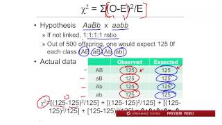 Linkage and Mapping The Chi Square Test tutorial [upl. by Alphonsa]