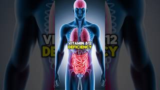 5 Symptoms You Probably Have a Vitamin B12 Deficiency health vitaminb12 wellness healthtips [upl. by Leblanc]