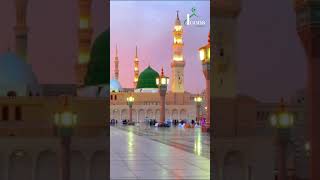 Hazrat Muhammad SAW ki Hazrat Hassan e Mujtaba RA say Muhabat  Imam Hassan Mujtaba RA hassan [upl. by Sirromal556]