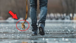 Smallest Dog Breeds In The World 2 [upl. by Nobie]