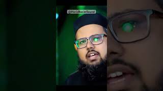 Rabi ul Awwal shorts youtubeshorts [upl. by Orenid526]