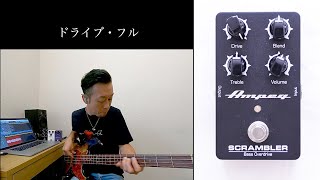 Ampeg CLASSIC Analog Bass Preamp（プリアンプ） amp SCRAMBLER Bass Overdrive（オーバードライブ）を川崎哲平がレビュー！ [upl. by Acira415]