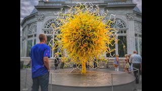 DALE CHIHULY GLASS SCULPTURES [upl. by Ociredef453]