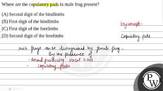 Where are the copulatory pads in male frog present [upl. by Akimrej451]