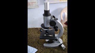 derTutors How to observe by Microscope माइक्रोस्कोप में स्लाइड कैसे देखें onion epidermic celslide [upl. by Kroll]