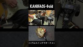 KANIFACEGold fuzz fuzzface kaniface guitar effector [upl. by Iseabal992]