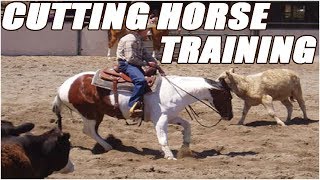 Cutting Horse Training Videos Youtube [upl. by Appel552]