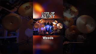 🔥 quotWeedsquot by LIFE OF AGONY  Clip 3  drumcover heavymetal drums lifeofagony [upl. by Nyrol]