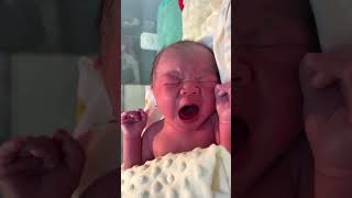 This newborns mouth opens wide when crying its so interesting [upl. by Adriane867]