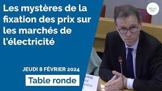 Les mystères de la fixation des prix sur les marchés de lélectricité [upl. by Robinson807]