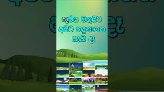 භූමිය මතුපිට අපට හදුනා ගත හැකි දෑ 3 ශ්‍ර්‍රේණිය  පරිසරය grade3 parisaraya kids [upl. by Anaj]