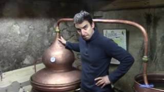 Absinthe BIO  Macération des Plantes  Distillerie Aymonier La Semillia  1er partie [upl. by Ahsenod943]