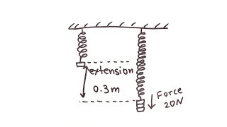 Hookes Law  GCSE Physics  Doodle Science [upl. by Gile]