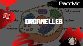 Organelles Song [upl. by Morgan382]