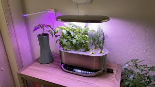 AeroGarden Review  Is It Worth It Day 35 [upl. by Adnaugal]