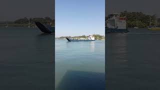 Waiting for the Ferry  Macleay Island Queensland [upl. by Zulaledairam78]