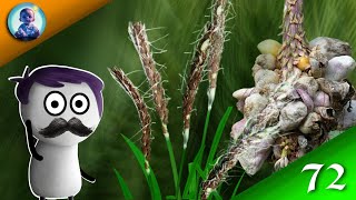 🍄USTILAGO LIFE CYCLE USTILAGO FUNGI ANIMATION USTILAGO BSC HINDI [upl. by Amerak794]