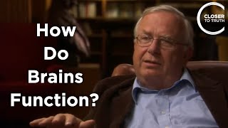 Michael Merzenich  How Do Brains Function [upl. by Englis]