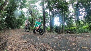 Mossman Highlights eBike Tour [upl. by Ycnej472]