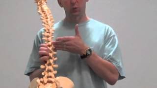 Video 22 Importance of lumbopelvic stabilization training [upl. by Winfrid]