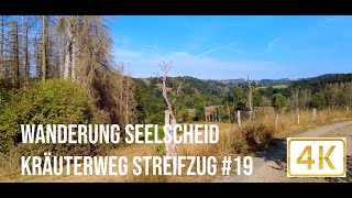 Wanderung Seelscheid Kräuterweg  Streifzug 19  POV  4K [upl. by Simara569]