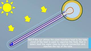 How does the evacuated tube solar water collector work [upl. by Rodl]