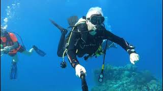 Diving in Tubbataha Reef [upl. by Annohsat]