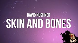 David Kushner  Skin and Bones Lyrics [upl. by Magna390]