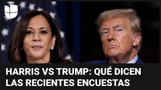 Harris vs Trump ¿quién lidera la intención de voto en estados péndulos Esto dicen las encuestas [upl. by Alabaster]