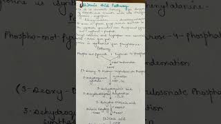 Shikimic acid Pathway shikimicacidpathway pharmacognosy bpharmacy [upl. by Killarney881]