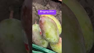 Manggang Hilaw mangga shorts shortvideo youtubeshorts asmr pinayingermany [upl. by Guod]