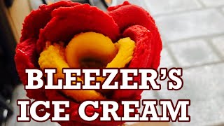 BLEEZER’S ICE CREAM written by JACK PRELUTSKY shortstory icecream [upl. by Brittan]