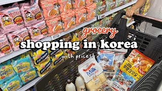 shopping in korea vlog 🇰🇷 grocery food haul 🍧 fruits snacks making summer dessert [upl. by Frances]