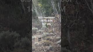 65 creedmoor vs mule deer [upl. by Namor553]