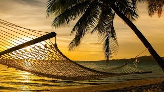 Guided Meditation Sleep Talk Down Sleeping Hammock Hypnosis for Sleep Relaxation [upl. by Egres]