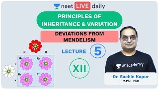 Principles of Inheritance amp Variation  L5  Unacademy NEET  LIVE DAILY  NEET Biology  Sachin Sir [upl. by Skricki]