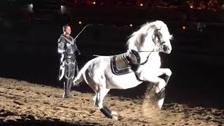 Medieval Times Dinner amp Tournament  Fancy Horses [upl. by Bruce]